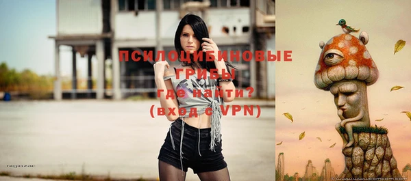 ГАЛЛЮЦИНОГЕННЫЕ ГРИБЫ Зерноград