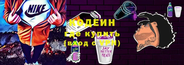 метадон Инта