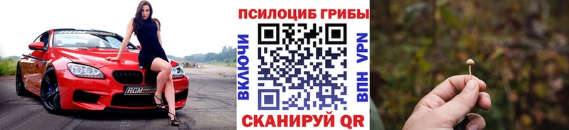 Псилоцибиновые грибы MAGIC MUSHROOMS  купить наркотики цена  Каменка 